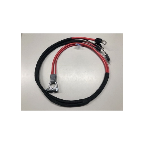 Positive Battery Y-8077 Positive Battery Y-8077